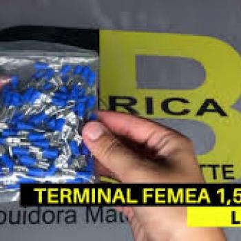 TERMINAL ARGOLA 1,5 - 2,5MM (4,3) LUKMA PACOTE /100 UND.