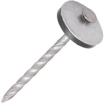 PREGO TELHEIRO 2 1/2 X 10 (18 X 27) 1KG RAYCO