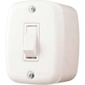 1.INTERRUPTOR SISTEMA X 10A PLUZIE.