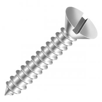 PARAFUSO FENDA AA PA 5.5X32