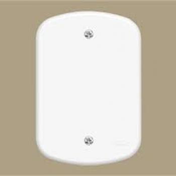 1.PLACA CEGA 4X2 FAME BLANC