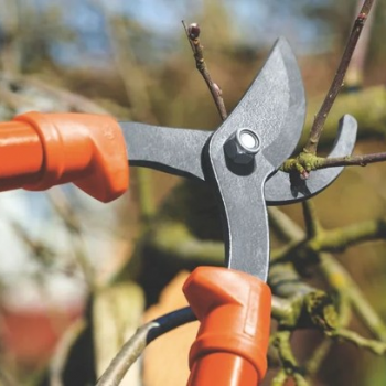 TESOURÃO PODA CB TRAMONTINA