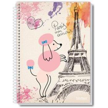 CADERNO 10X1 CAPA DURA UAU 200FLS