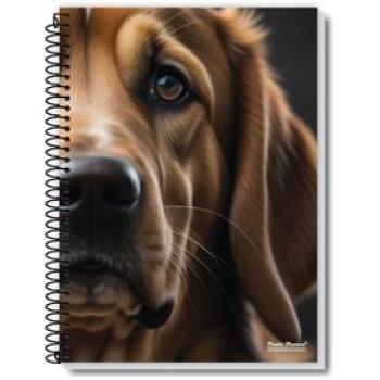 CADERNO 10X1 CAPA DURA ROX 200FLS