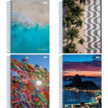 CADERNO 01X1 CD BRASILIDADE 96FLS -  08136-55 JANDAIA