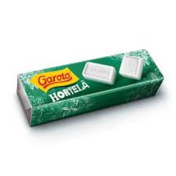 PASTILHA DE HORTELA GAROTO