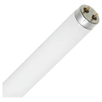 LAMPADA TUBULAR FLUORESCENTE PHILIPS 36W T8