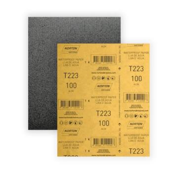 LIXA D AGUA NORTON 100