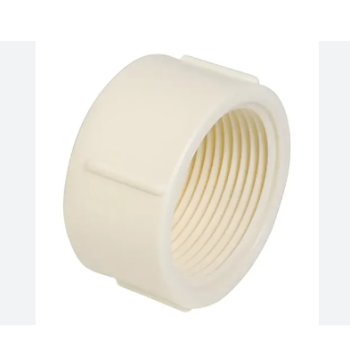 CAPS BRANCO RR 1/2