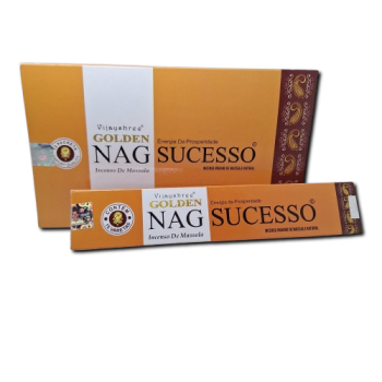 Vijayshree Golden -  Successo