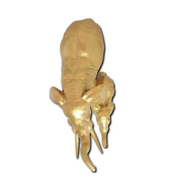 c855b9da62c1c56ebde1a5947f6bbc3a.png