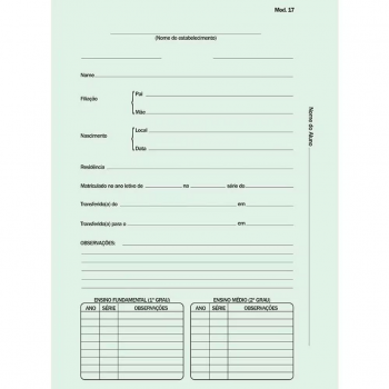 Pasta Modelo 17 Verde Pacheco