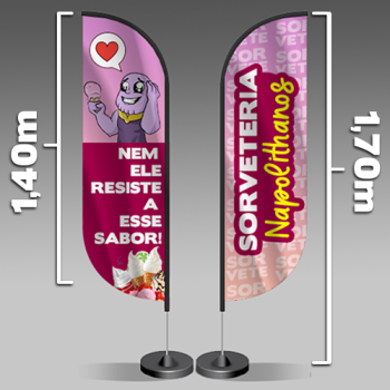 Wind Banner Pena 170x47cm