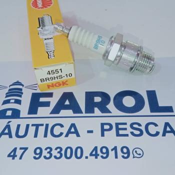 VELA DE IGNICAO NGK BR9HS-10