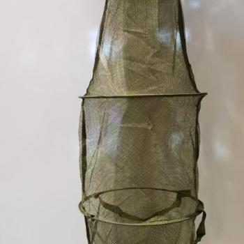 SAMBURA PANO JWS WS-Y755