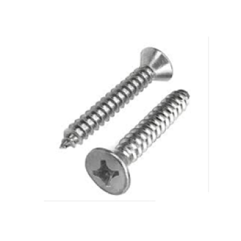 PARAFUSO INOX PHILIPS CABECA CHATA