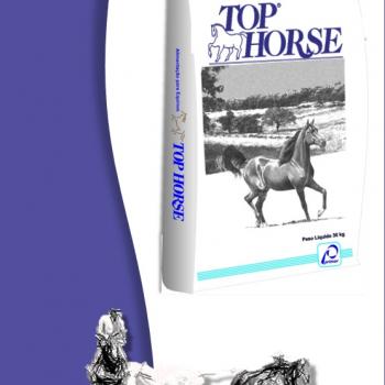 MP 883 TOP HORSE EQUINOS 40 KG - G