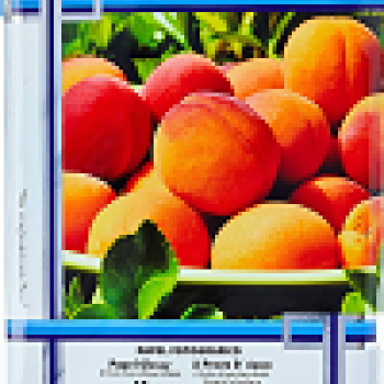 Papel Fotografico DUPLA FACE Glossy 180g Com 20 Folhas A4 Branco