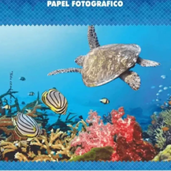 PAPEL FOTOGRAFICO GLOSSY MICROPORO SEMI BRILHO 260G/M² A4 - 20FOLHAS