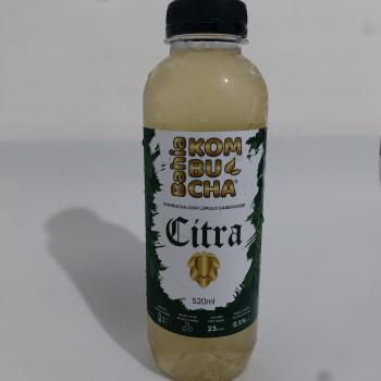 KOMBUCHA COM LUPULO CITRA 250ML
