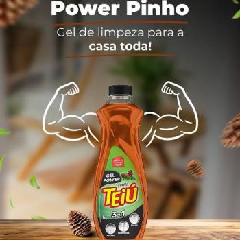 GEL POWER PINHO MULTIUSO LIMPEZA PESADA 1 KG