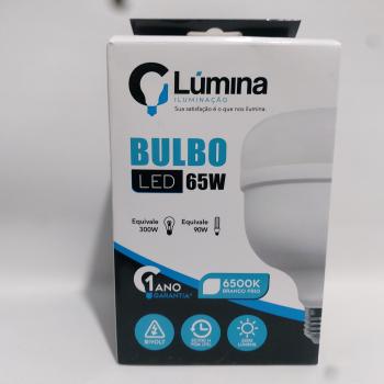 LAMPADA LED BULBO 65W T120 6.500K LUMINA