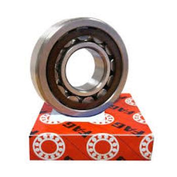 ROLAMENTO FAG NJ309 100X45X25MM