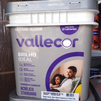 TINTA VALLECOR SEMI BRILHO BRACO NEVE 15L