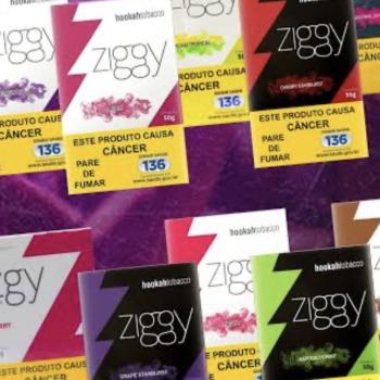 Essência Ziggy