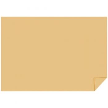 Papel Color Set Cor Bege 48X66 VPA