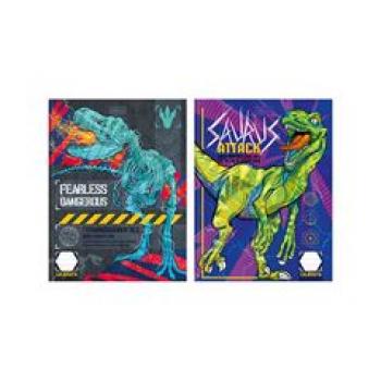 Caderno de Caligrafia CD 40 Fls Gd Raptor 24 Tilibra