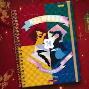 AGENDA PLAN.27 CD160PG 175X242 H.POTTER UN0001