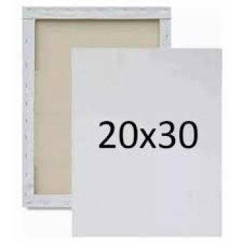 Tela para Pintura 20x30 - Vpa