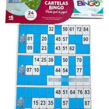 Cartelas para Bingo com 24 Unidades