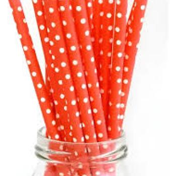 Canudo de Papel Vermelho Yins