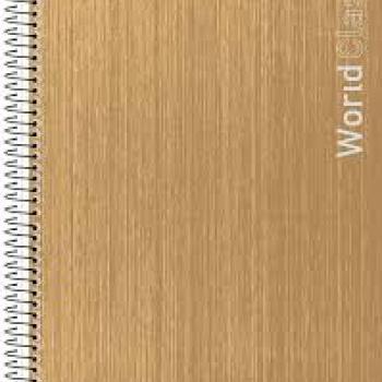 Caderno Universitário 15M CD 240F Word Class - Animativa