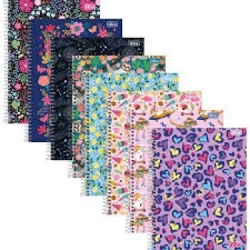 Caderno Esp CD 1/4 96 Fls Feminino