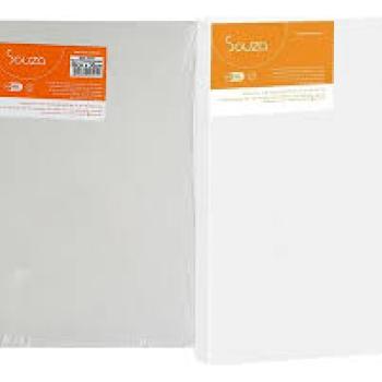 Tela para Pintura 20X30 - Souza