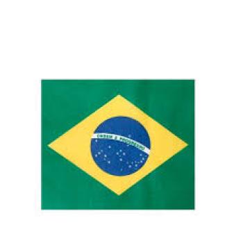 Bandeira do Brasil 70x50cm de Poliester
