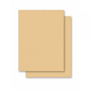 Papel cartolina Amarela Escolar 50x66cm 140g - Jandaia*