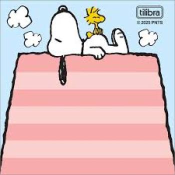 Tili Notes Nots Adesivas Snoopy com 50 Fls