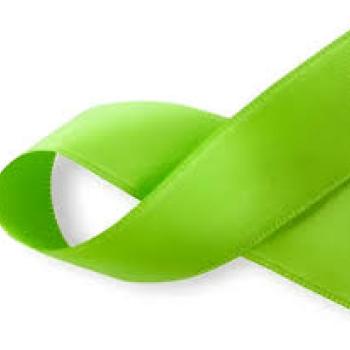 Fita de Cetim Tecida 10mx15mm Verde Folha - Cinderela*