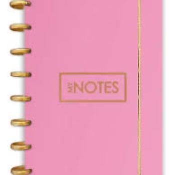 Caderno de Disco Argolado Rosé  80 fls 145X213