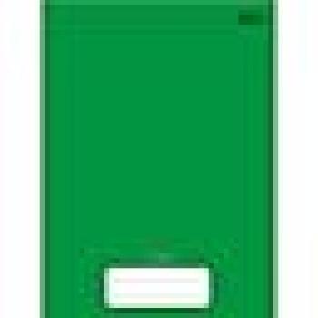 Caderno Brochurão (capa dura) Stiff 96 Folhas Verde- Jandaia