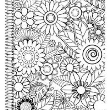 Caderno Universitário 1M CD B 80F Color Quest - Animativa