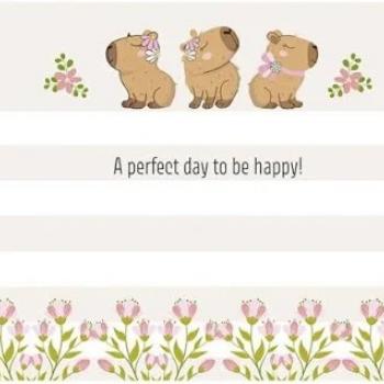 Caderno de Cartografia 1/1 Cd AD 60f Capycuties - Animativa
