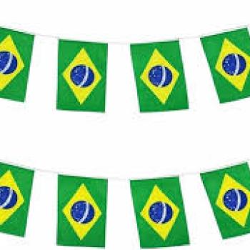 Bandeirola Bandeiras do Brasil 24x18 cm -Corda com 6 Metros