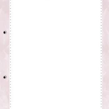 Caderno  Escolar Miolo com 4 Furos  1M 80 FFolhas Rosa Rose - Animativa