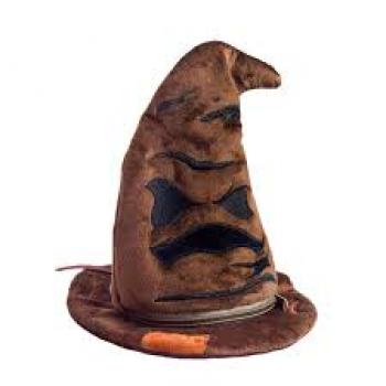 Estojo Fluffy Chapéu Harry Potter - Dasc