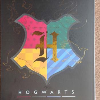 Caderno Anotações Vertical Capa Dura 80 Fls Harry Potter